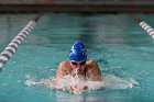 Swimming vs Babson  Wheaton College Swimming vs Babson College. - Photo By: KEITH NORDSTROM : Wheaton, Swimming, Babson